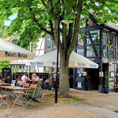公寓 Sehn Suchts Ort Nr 1 Terrasse Wintergarten 巴特哈尔茨堡